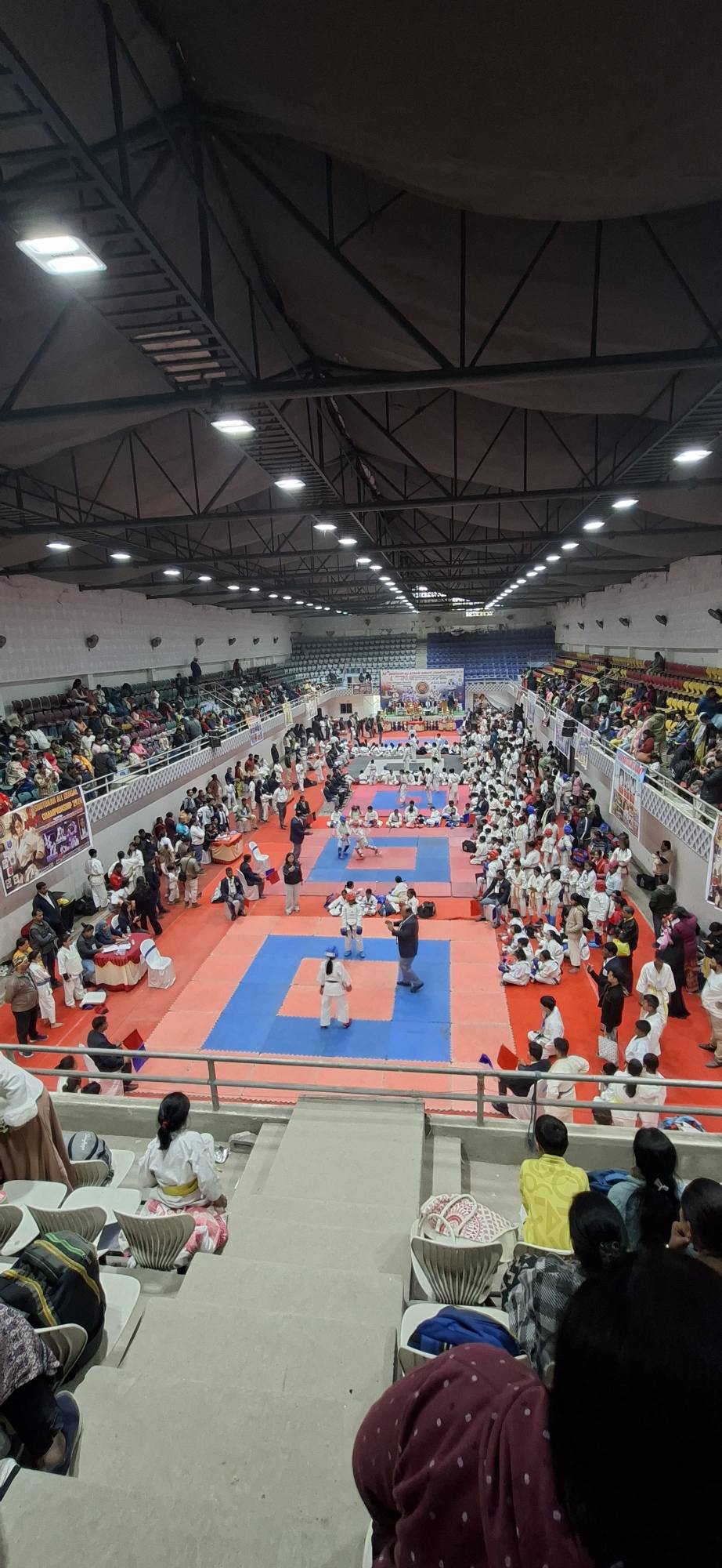 bengal_karate (4).jpg